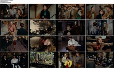 荒漠怪客剧照的剧照