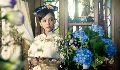 新步步惊心剧照的剧照