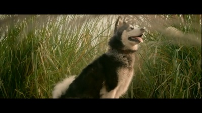 新步步惊心剧照的剧照