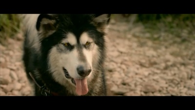 新步步惊心剧照的剧照