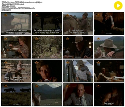 跃马山庄剧照的剧照