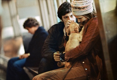 毒海鸳鸯剧照的剧照