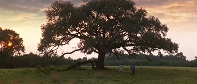 阿甘正传剧照的剧照