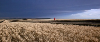 阿甘正传剧照的剧照