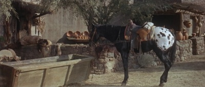 阿巴卢萨剧照的剧照