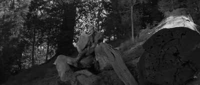 百战雄狮剧照的剧照