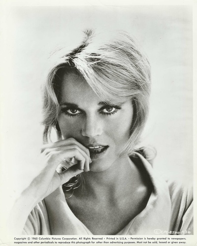 凯德警长剧照的剧照