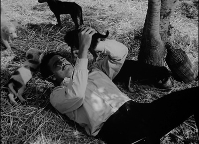 萨帕塔传剧照的剧照