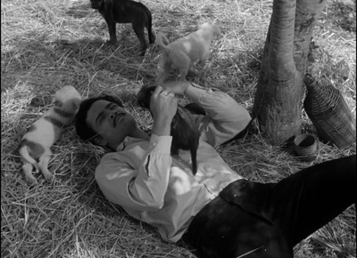 萨帕塔传剧照的剧照