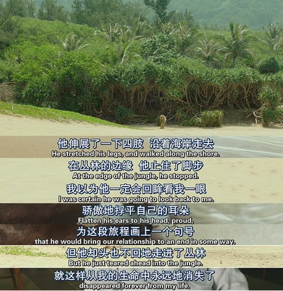 少年派的奇幻漂流剧照的剧照