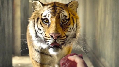 少年派的奇幻漂流剧照的剧照