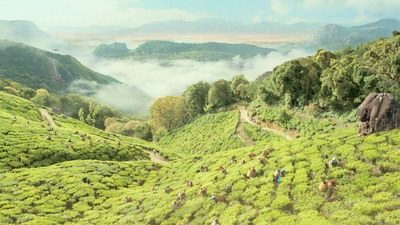 少年派的奇幻漂流剧照的剧照