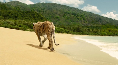 少年派的奇幻漂流剧照的剧照