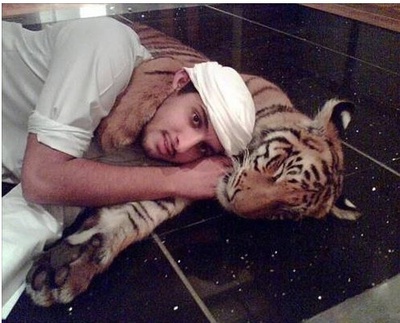 少年派的奇幻漂流剧照的剧照