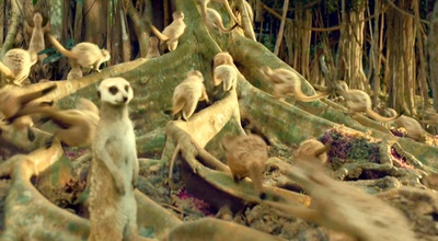 少年派的奇幻漂流剧照的剧照