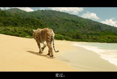 少年派的奇幻漂流剧照的剧照