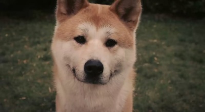 忠犬八公的故事剧照的剧照