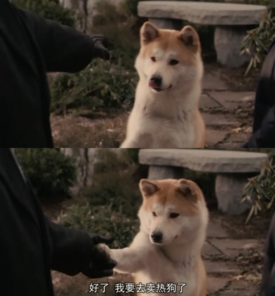 忠犬八公的故事剧照的剧照