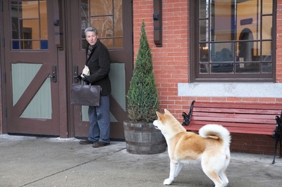 忠犬八公的故事剧照的剧照