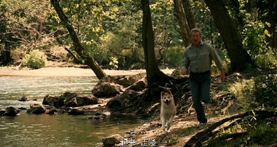 忠犬八公的故事剧照的剧照