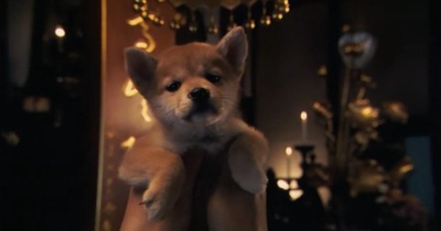 忠犬八公的故事剧照的剧照