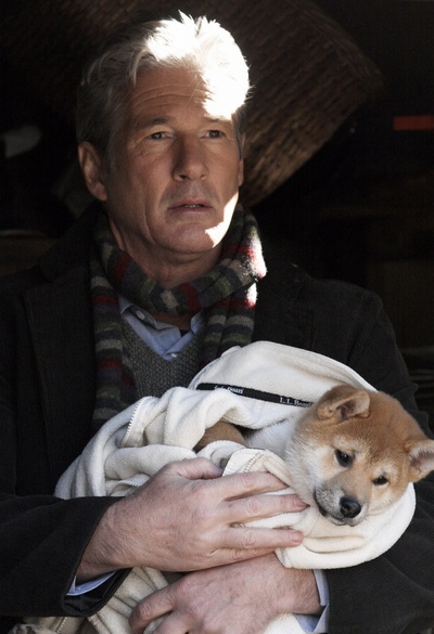 忠犬八公的故事剧照的剧照