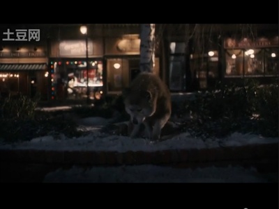 忠犬八公的故事剧照的剧照