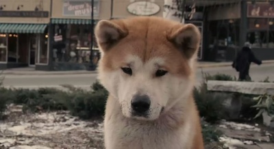 忠犬八公的故事剧照的剧照