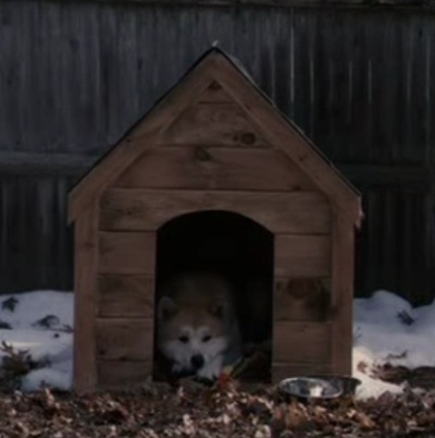 忠犬八公的故事剧照的剧照