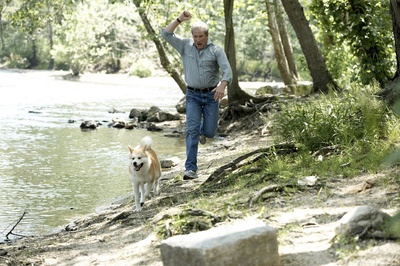 忠犬八公的故事剧照的剧照