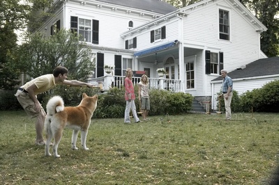 忠犬八公的故事剧照的剧照