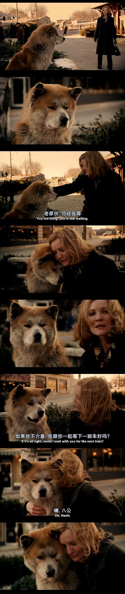 忠犬八公的故事剧照的剧照