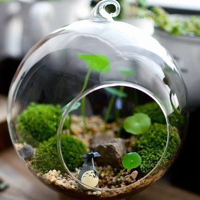 龙猫剧照的剧照