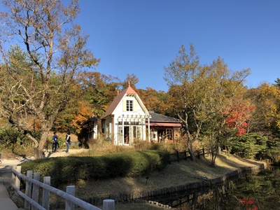 龙猫剧照的剧照