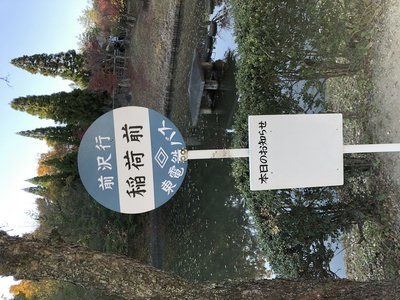 龙猫剧照的剧照