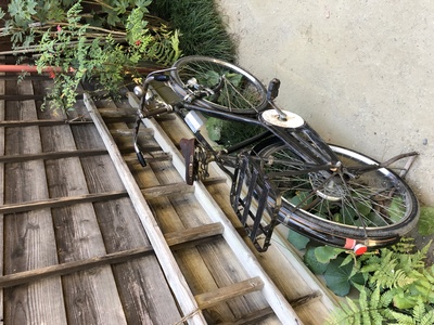 龙猫剧照的剧照