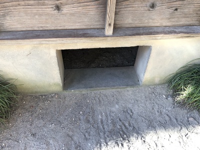 龙猫剧照的剧照