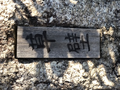 龙猫剧照的剧照