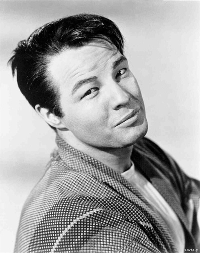 秋月茶室剧照的剧照