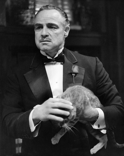 教父剧照的剧照