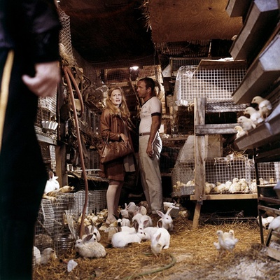 雨族剧照的剧照