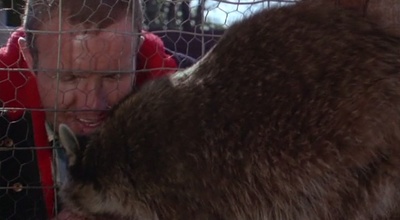 雨族剧照的剧照