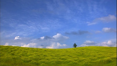 北海道·夏剧照的剧照