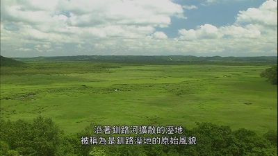 北海道·夏剧照的剧照