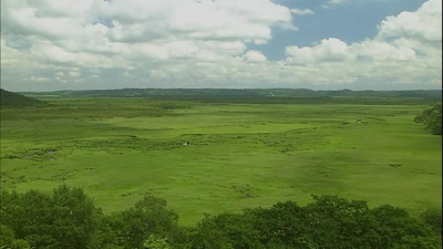 北海道·夏剧照的剧照