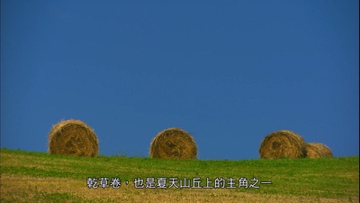 北海道·夏剧照的剧照
