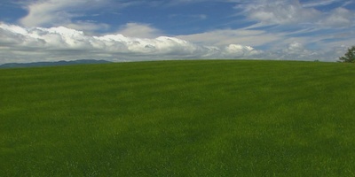 北海道·夏剧照的剧照