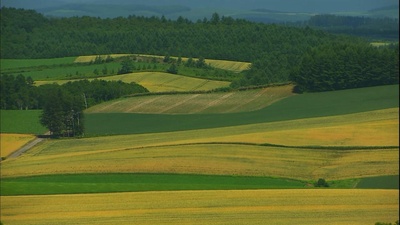 北海道·夏剧照的剧照