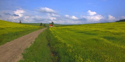 北海道·夏剧照的剧照