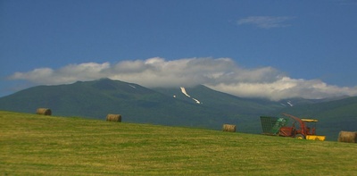 北海道·夏剧照的剧照